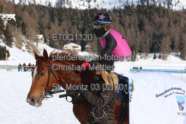 ET0Q1120 prot